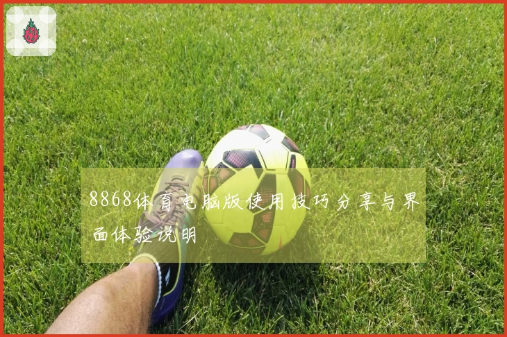 8868体育电脑版使用技巧分享与界面体验说明